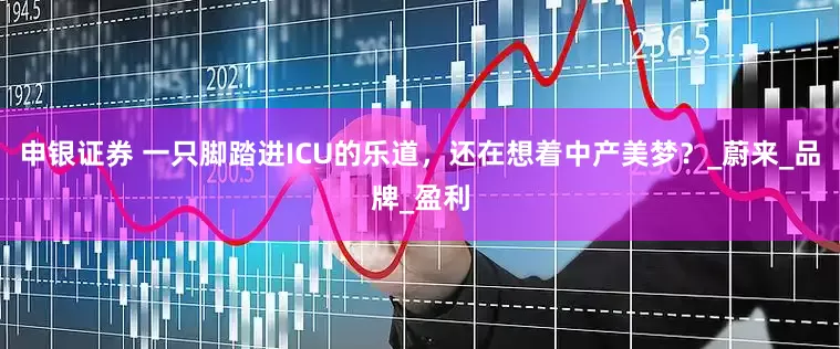 申银证券 一只脚踏进ICU的乐道，还在想着中产美梦？_蔚来_品牌_盈利