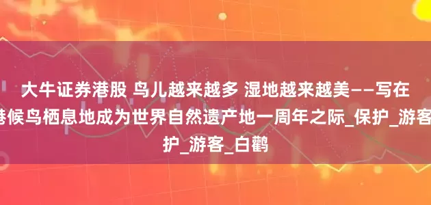 大牛证券港股 鸟儿越来越多 湿地越来越美——写在南大港候鸟栖息地成为世界自然遗产地一周年之际_保护_游客_白鹳