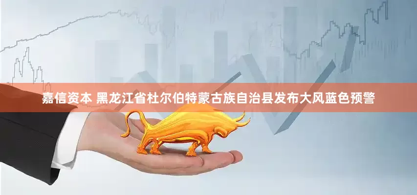 嘉信资本 黑龙江省杜尔伯特蒙古族自治县发布大风蓝色预警