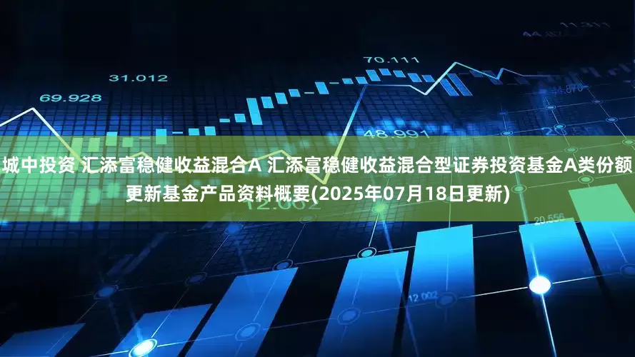 城中投资 汇添富稳健收益混合A 汇添富稳健收益混合型证券投资基金A类份额更新基金产品资料概要(2025年07月18日更新)